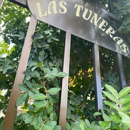 Las Tuneras Apartamento En San Agustin San Bartolomé Luaran gambar